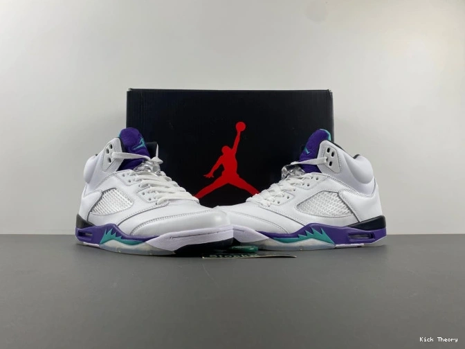 Kicktheory Jordan Air 136027-108 Retro Grape (2013) 5 0704